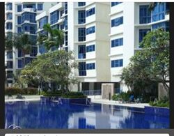 Sanctuary Green (D15), Condominium #559674981